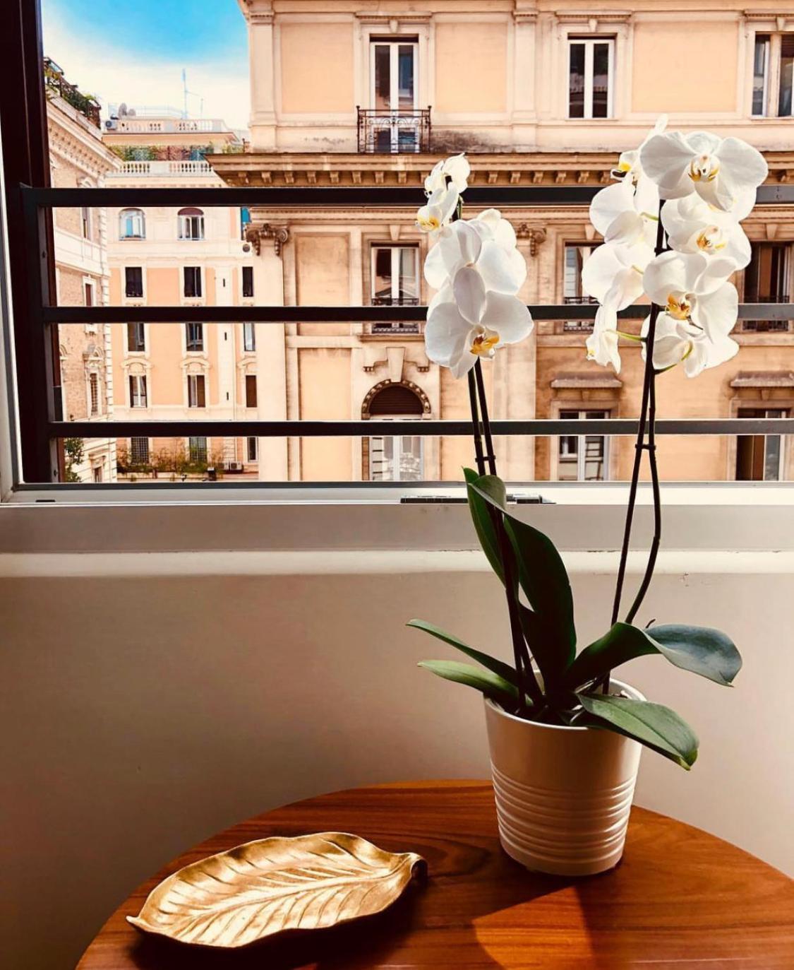 مبيت وإفطار روما 900 Piazza Del Popolo المظهر الخارجي الصورة